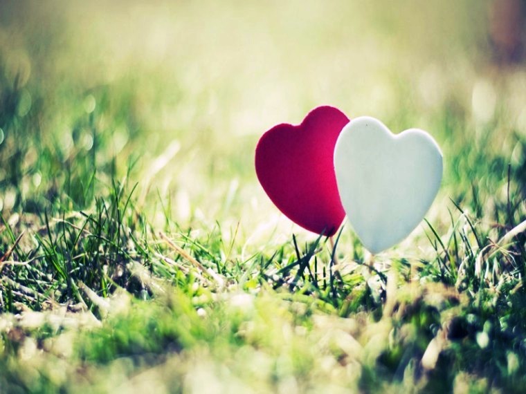 Heart & Love Download stylish 3D wallpapers  New HD 