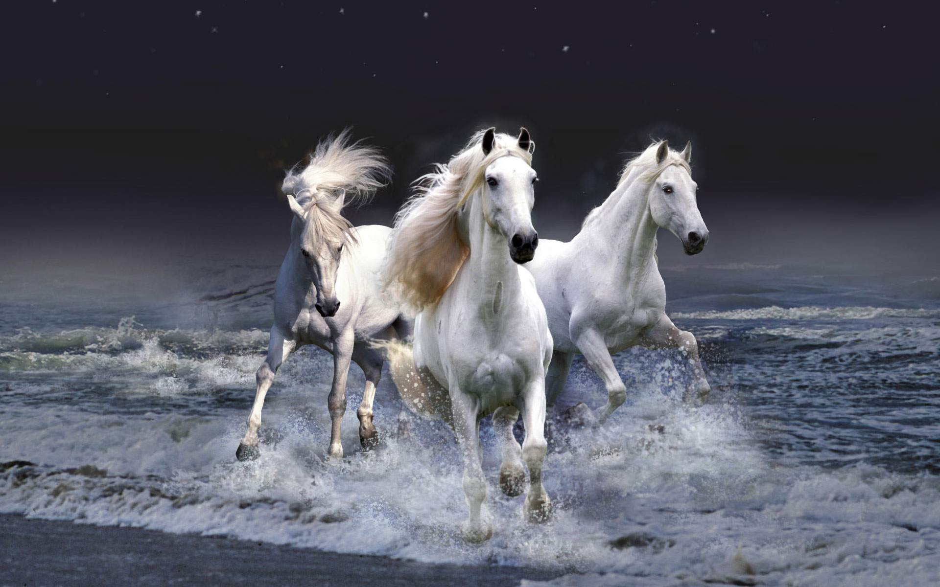 Free Horses Beautiful wallpapers HQ Pictures Download