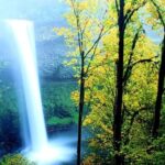 nature wallpapers free download for windows 7