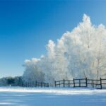 winter wonderland wallpapers desktop