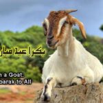 Eid Ul Adha (Bakra Eid) Best Wishing Eid Ul Azha Quotes (2)
